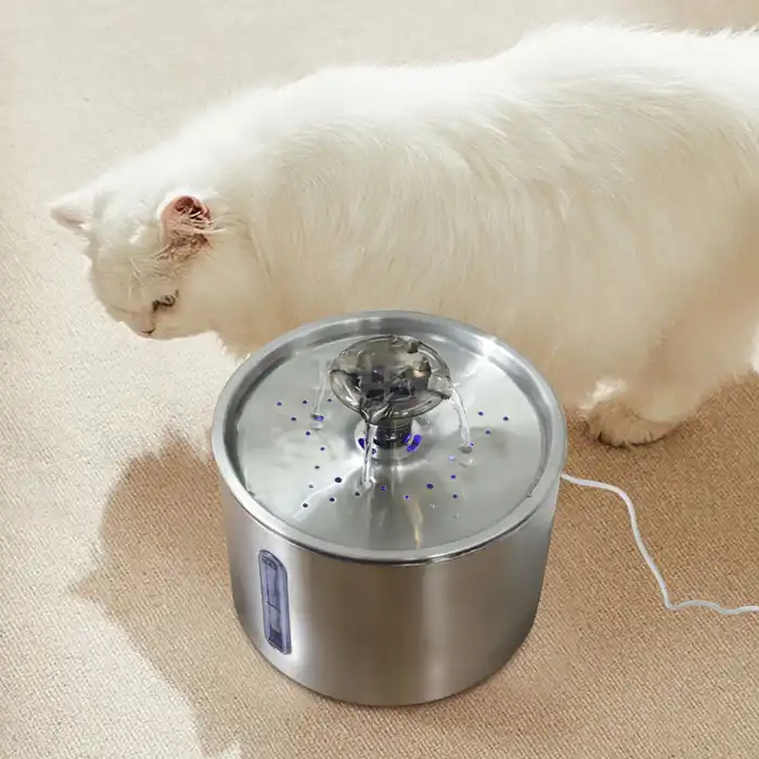 Pet Water Fountains